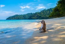 Vacances Thaïlande pas cher : Nos Conseils pour voyager à moindre coût