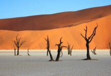 4 lieux à voir absolument en Namibie Paysage Namibie